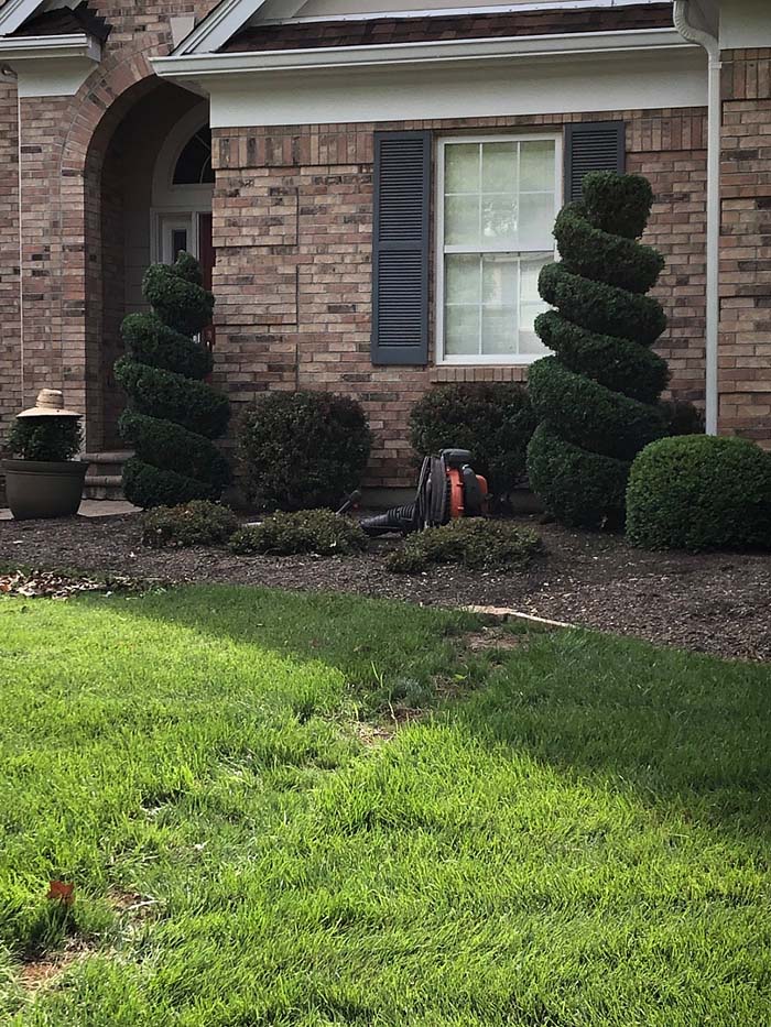 Landscaping Solutions