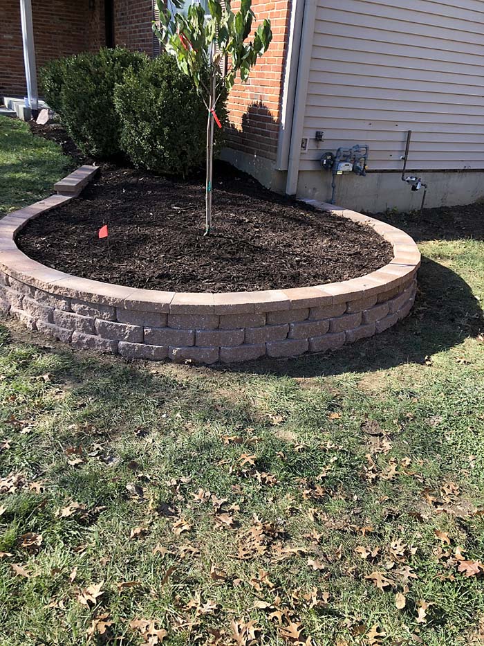 Garden Renovation