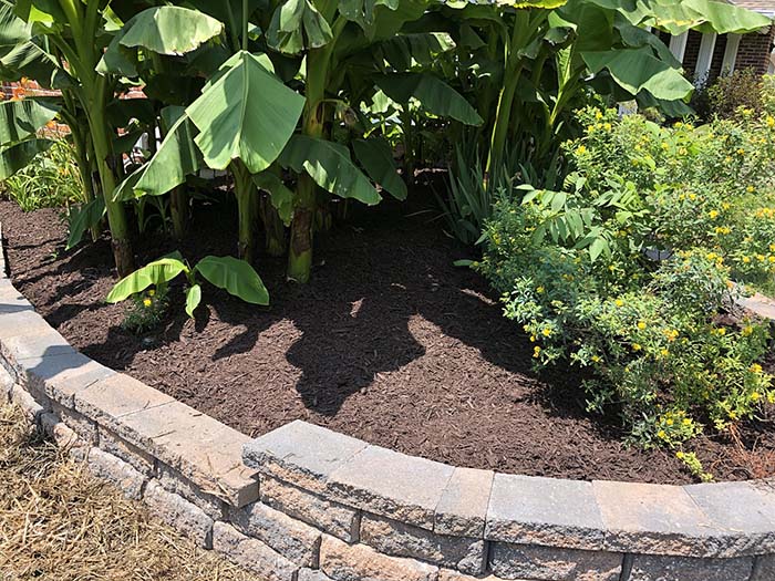 Affordable Landscaping